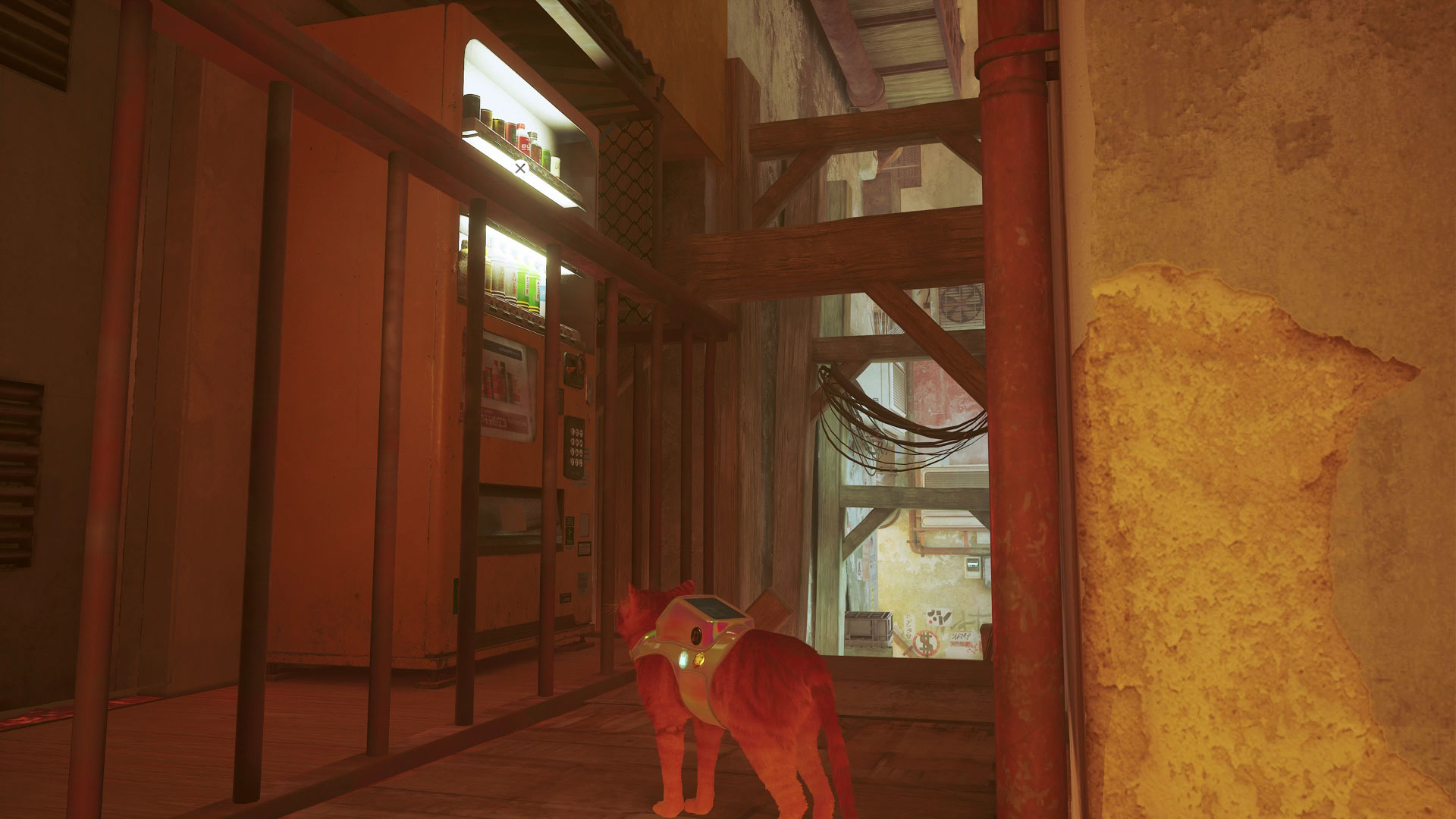 Stray energy drink locations