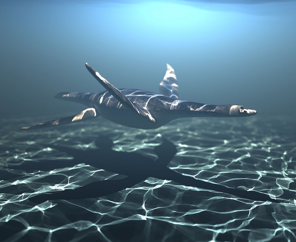 Plesiosaur model