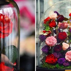 Petal, Flower, Glass, Red, Pink, Cut flowers, Floristry, Flowering plant, Bouquet, Magenta, 