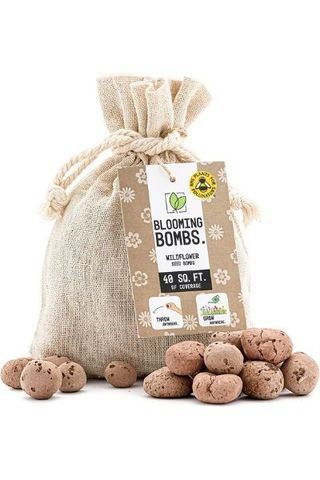 Blooming Bombs seed balls in bag and scattered outside bag