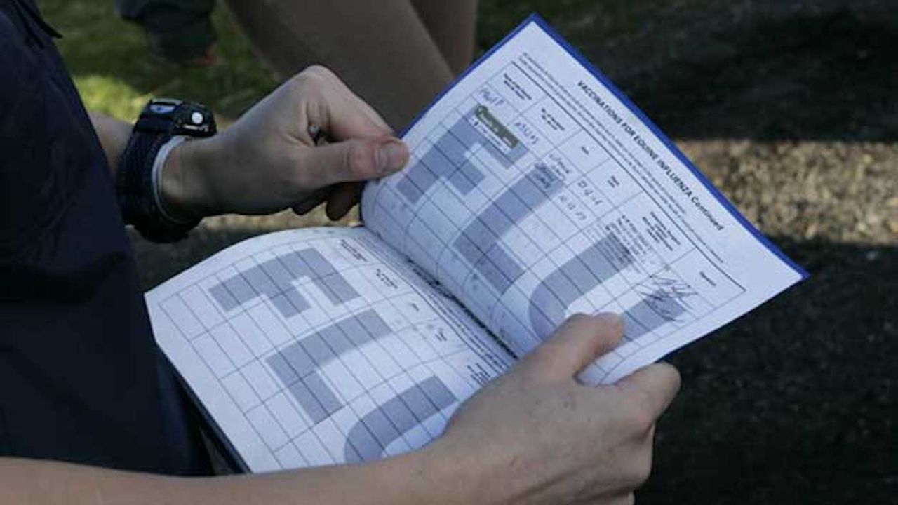 Pictured an equine passport showing vaccination log.