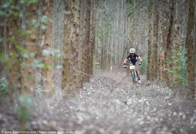 Neil Macdonald in one of the many forest sections