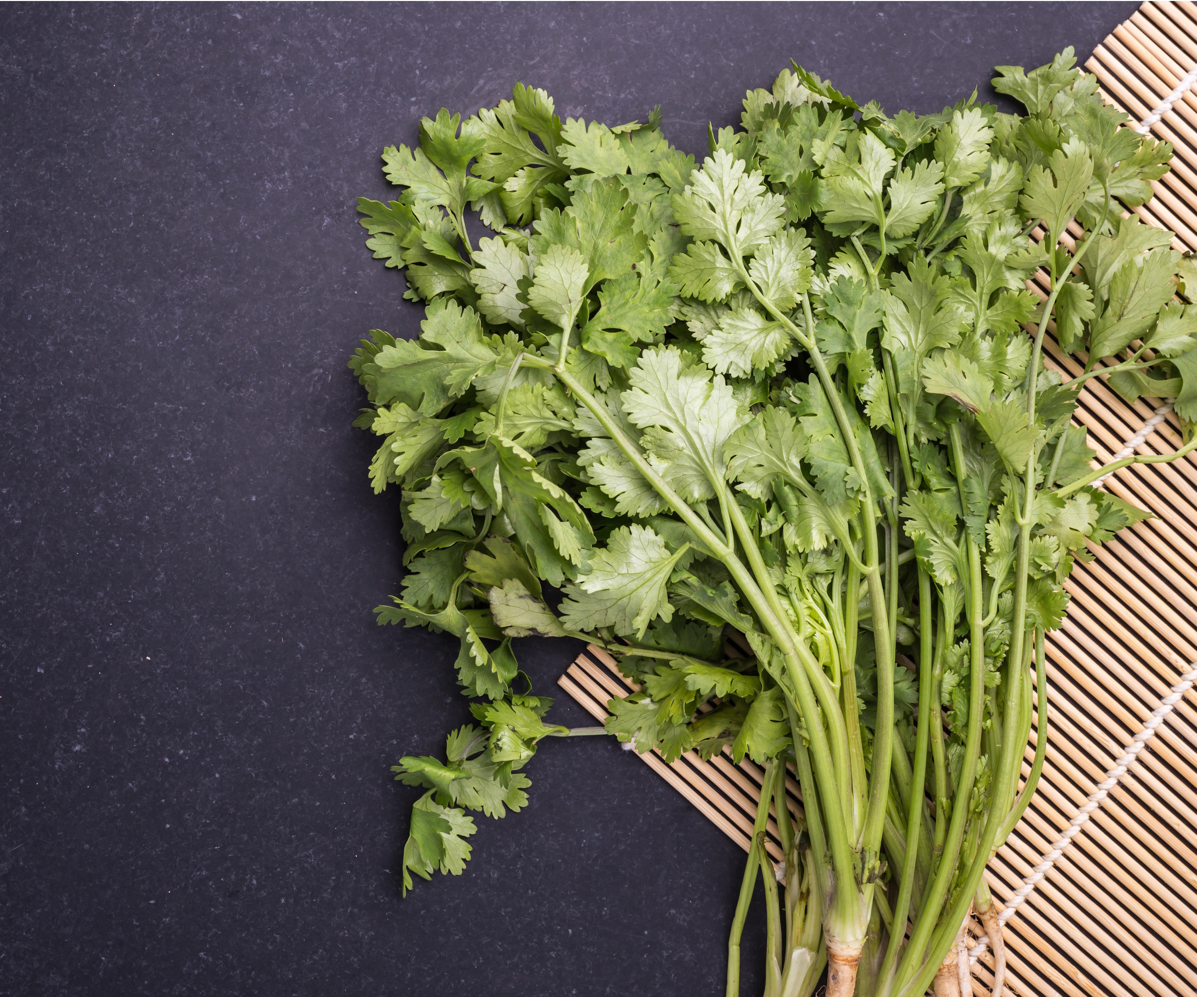 Cilantro on table