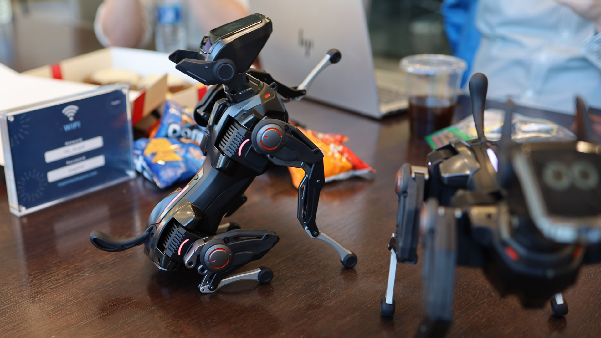 Hengbot Sirius robot Dog