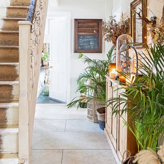 hallway and stairwell with unfinished, rustic stair risers, wooden console and plants