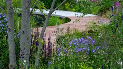 花园路径的想法-癌症研究英国遗产花园由汤姆·辛普森为汉普顿宫2021年设计