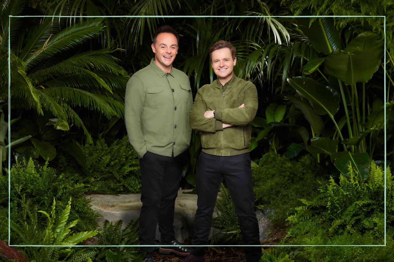 I&#039;m a Celebrity hosts Ant and Dec posing in the jungle