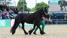 DSC_6687.jpg
