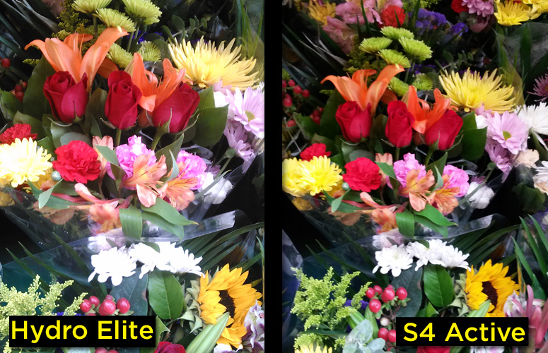 Kyocera Hyrdo Elite Flowers
