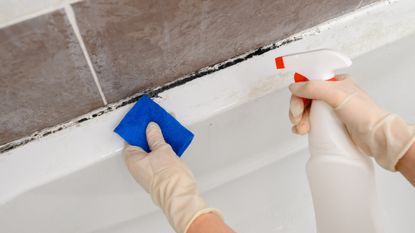 Cleaning mold from bathtub sealant