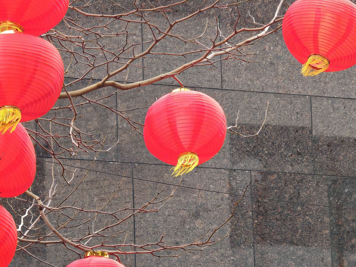 Honor Magic6 Pro Camera Samples (Tree with Chinese lanterns at 10x zoom, daytime, Liverpool, United Kingdom )