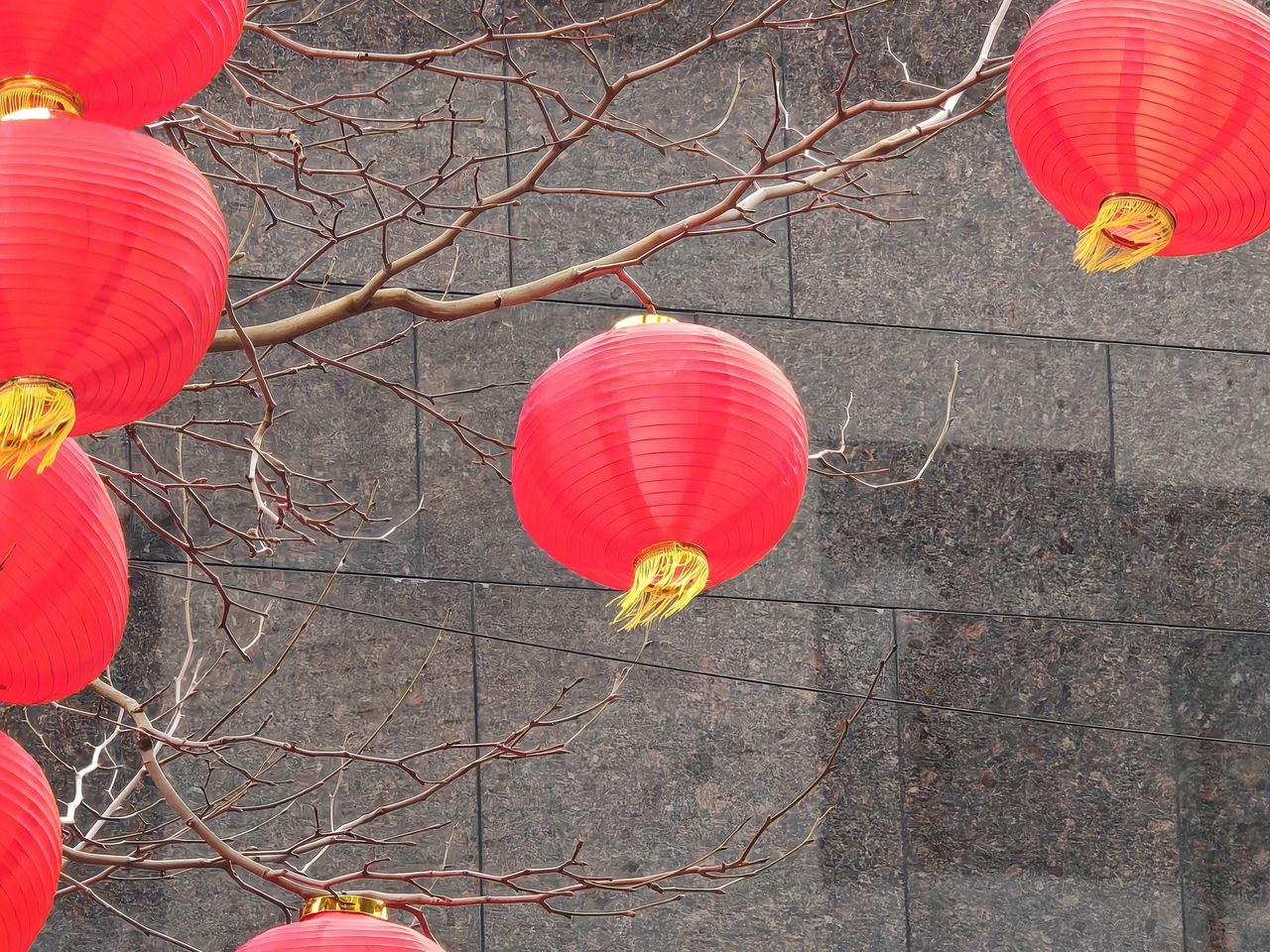 Honor Magic6 Pro Camera Samples (Tree with Chinese lanterns at 10x zoom, daytime, Liverpool, United Kingdom )