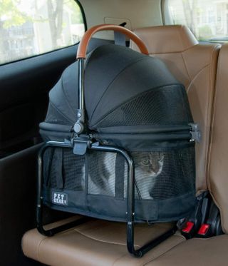 A tabby cat sits in a black Pet Gear View 360 carrier in the backseat of a car