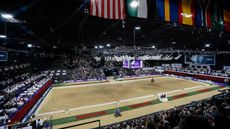 world cup horse welfare