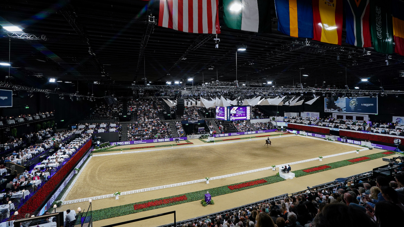 world cup horse welfare