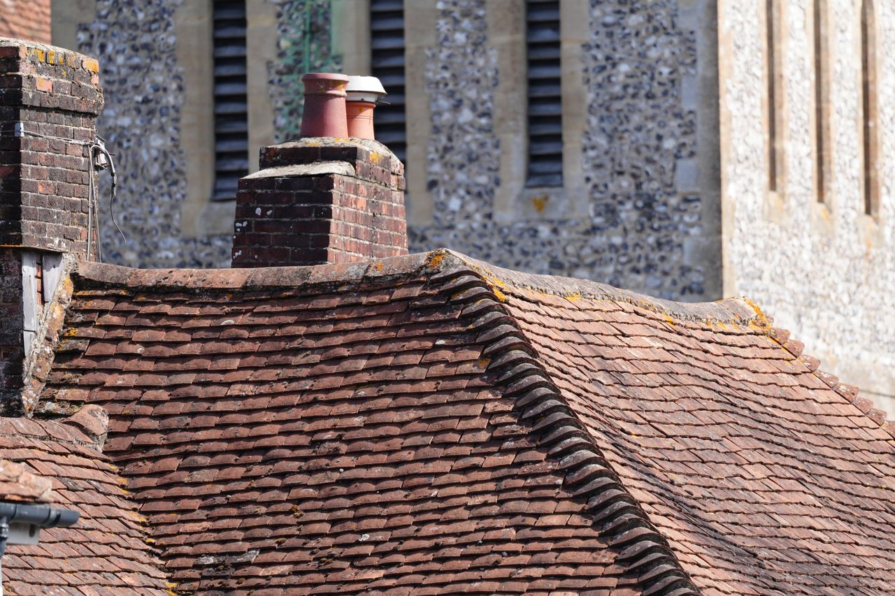 Sony FE 600mm f/6.3 GM OSS sample image