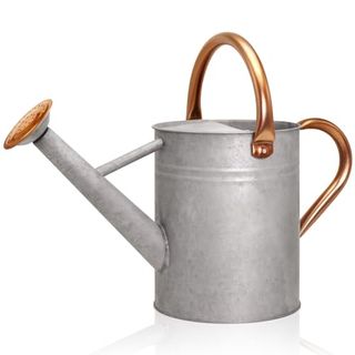 Ausluru Metal Watering Can With Removable Spout, Galvanized Watering Can, Perfect Plant Watering Can for Indoor Use and for Outdoor Use (1 Gallaon, Zinc)