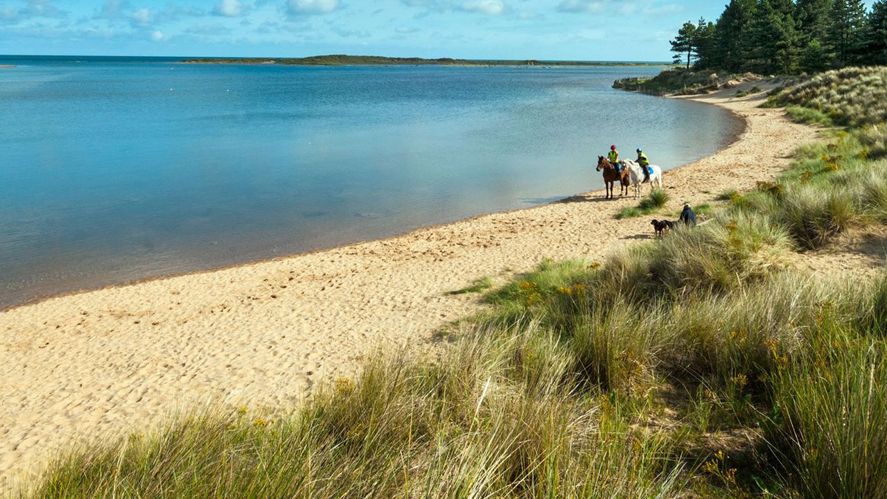 Holkham Bay