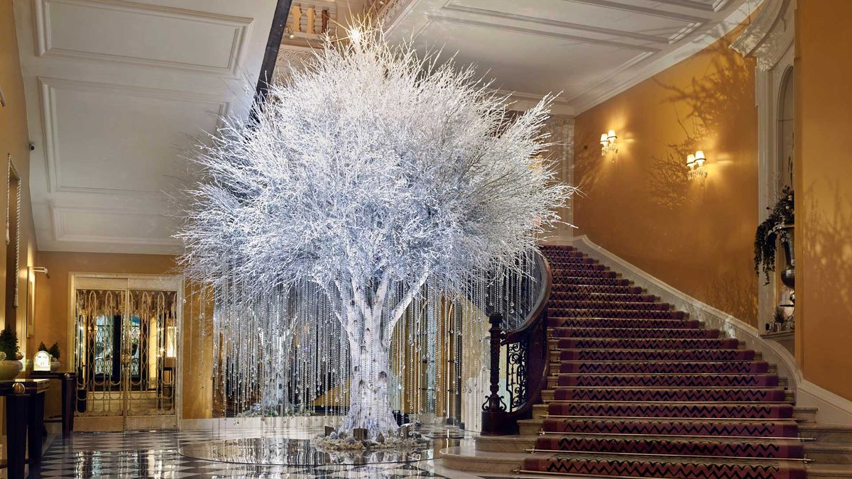 Les plus beaux sapins de Noël de Londres remontent le moral à l'intérieur comme à l'extérieur