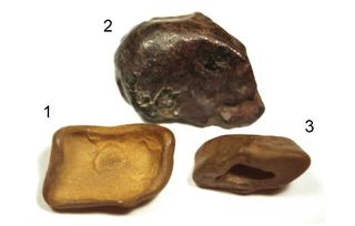 A researcher thinks these three rocks could be meteorites from the Tunguska explosion. Their nicknames are dental crown (1), whale (2) and boat (3).