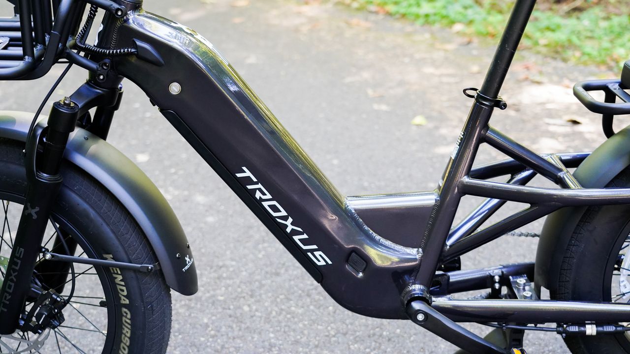 Troxus Lynx Cargo E-Bike