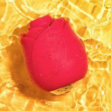 A rose shaped sexual wellness product from Lovehoney.