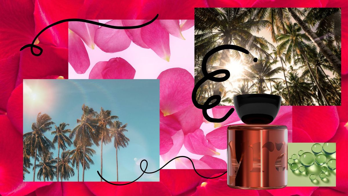 I visited 63 countries collecting local beauty secrets - these are the 4 ingredients you need to try