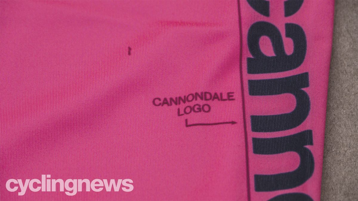 EF Education First-Nippo jersey