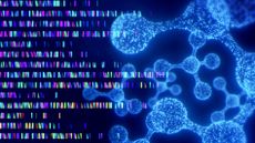 An image of digitalized DNA with different sequences in bright colours.