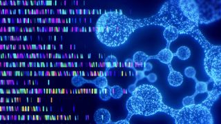 An image of digitalized DNA with different sequences in bright colours.