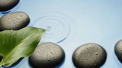 flat stones on calm water with green leaf on top