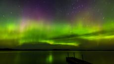 A green and purple aurora over a lake shore