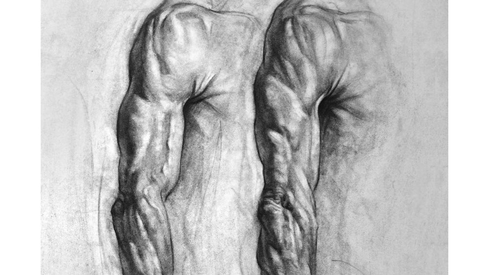 Arm Muscles Drawing - Draw Space