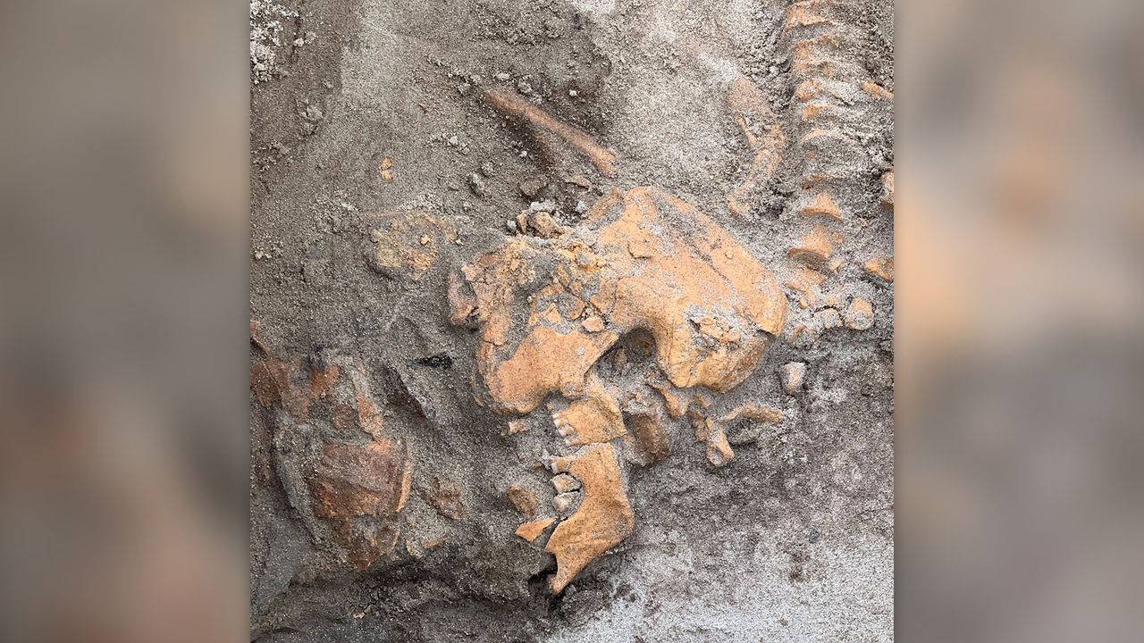 Close-up of Burial 1 from the Selje tomb.