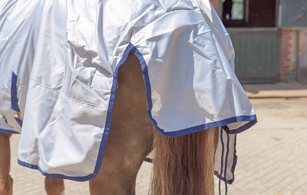 Bucas Sun Shower turnout rug review