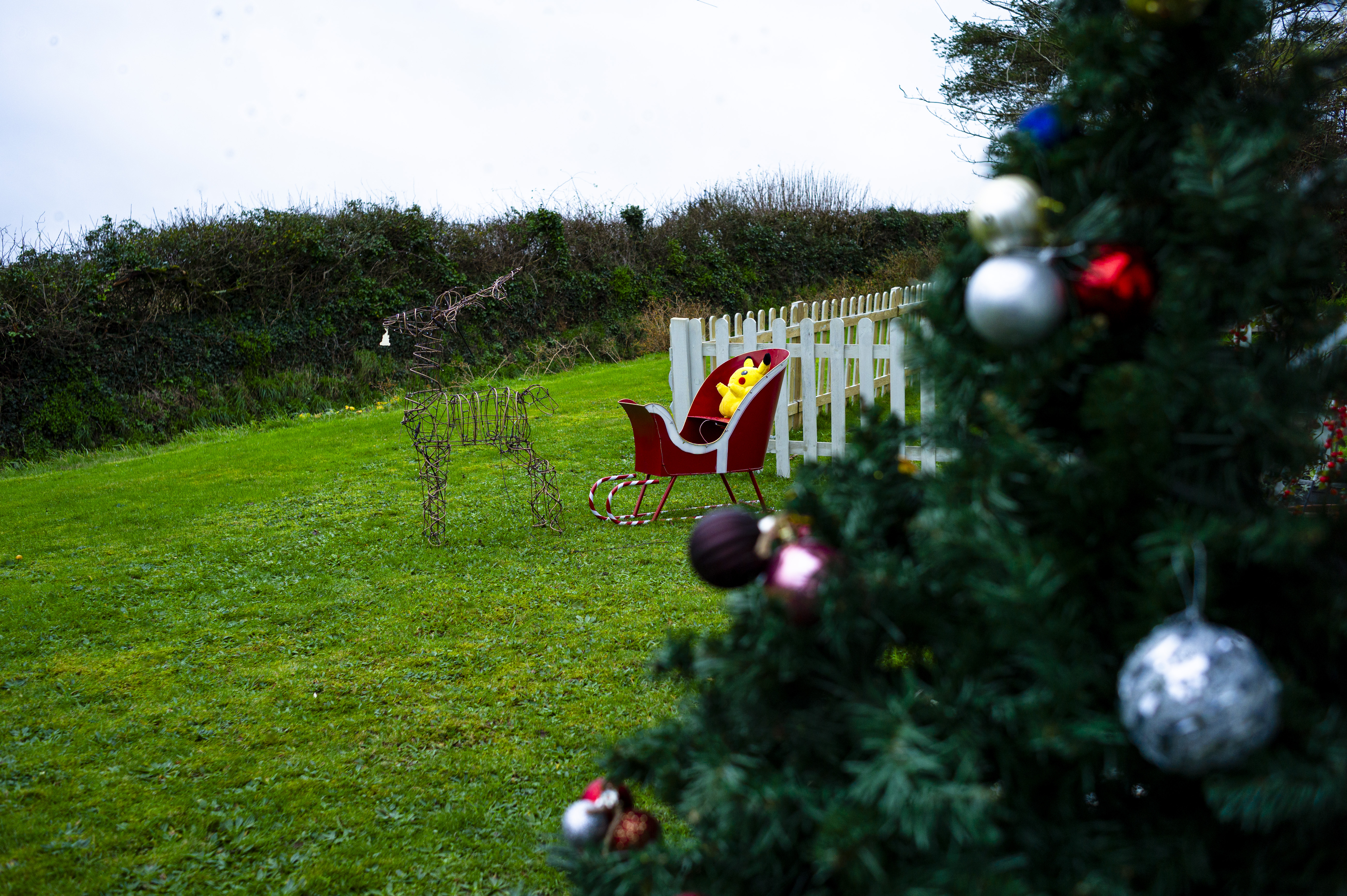 Leica 35mm Summarit-M f/2.5