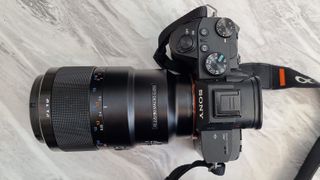 Sony FE 90mm f/2.8 Macro G OSS