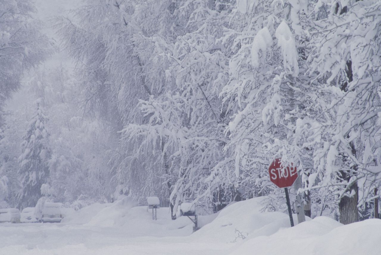 Snow on stop sign