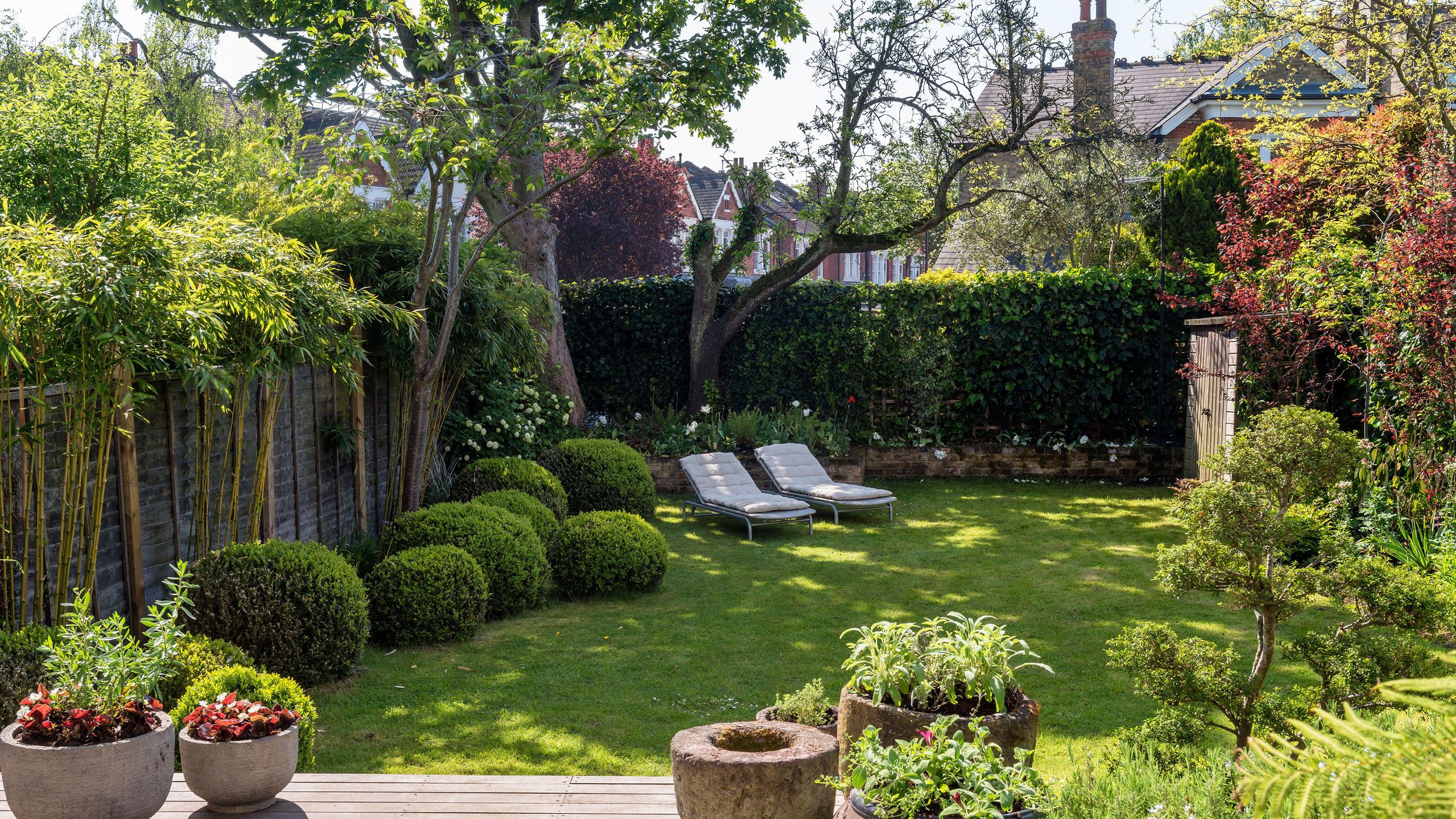 Best trees for privacy: 10 ways to screen a plot from view | Gardeningetc, image size:2560x1440