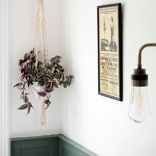 bathroom makeover with mid height wall panelling and hanging potted plants