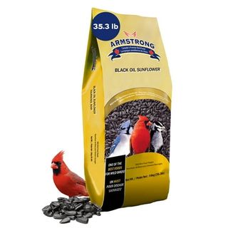 Armstrong Wild Bird Food 