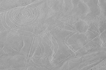 nazca lines the monkey