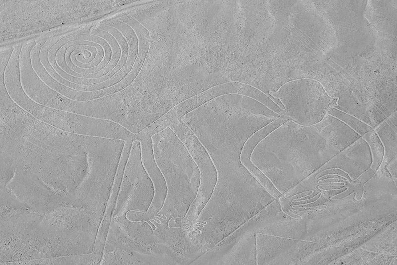 nazca lines the monkey