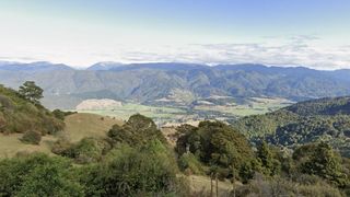 Una nueva imagen de Street View de Tasman, Nueva Zelanda