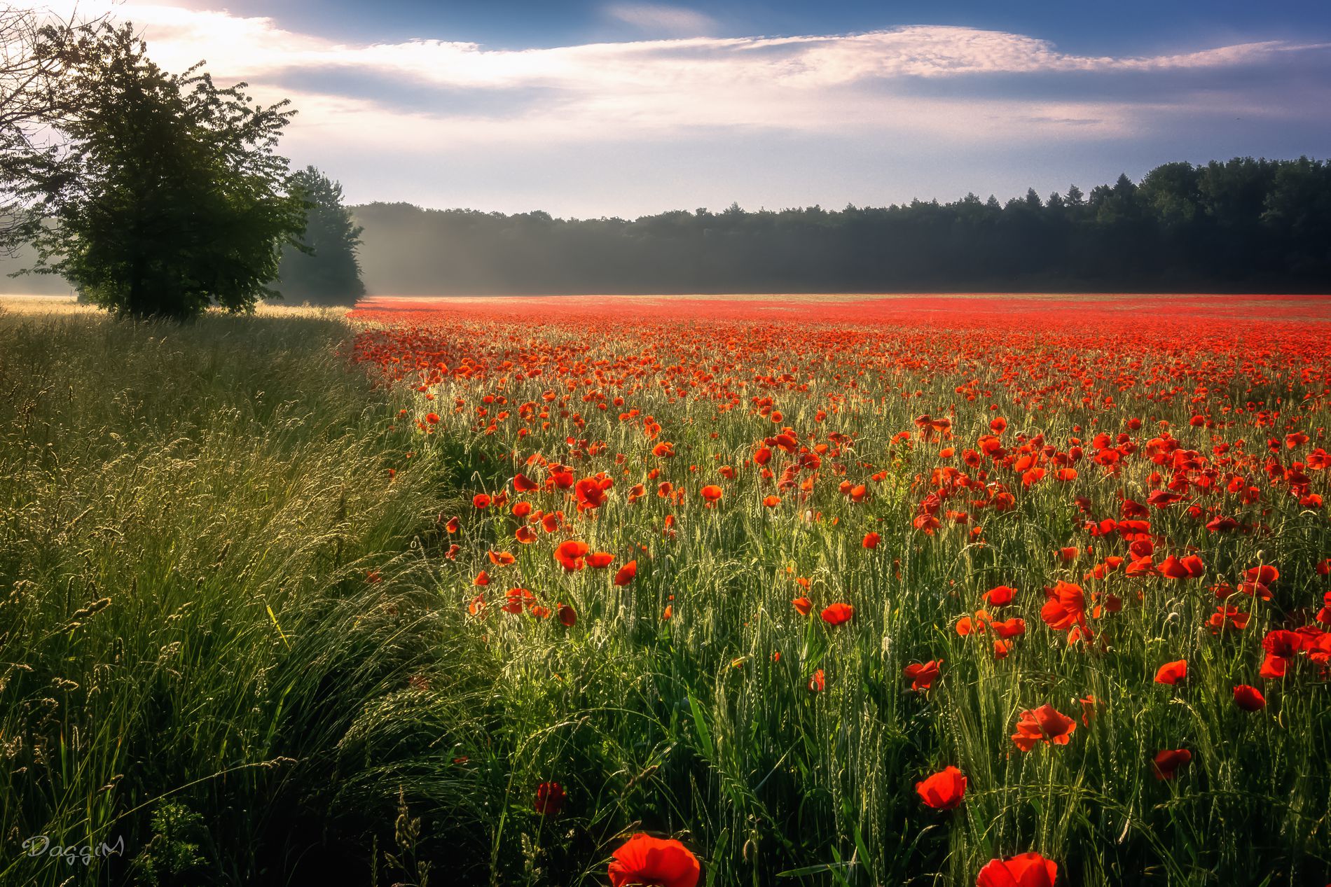 GuruShots - Vivid Landscapes March 2026