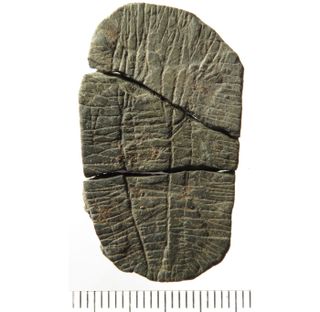 Recent excavations at Vasagard have also turned up more map stones or field stones, which inscribed with straight lines thought to represent farmland. Archaeologists have also found more plant stones, which are inscribed with what looks like a crop plant,