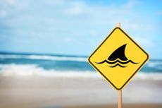 A shark sign at the beach.