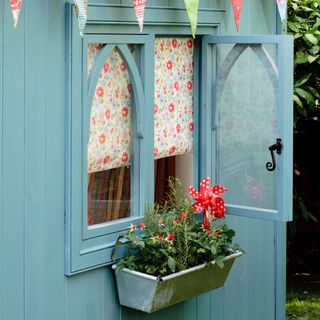blue shed with red flower foliage