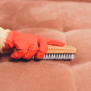 cleaning velvet sofa with brush and gloves