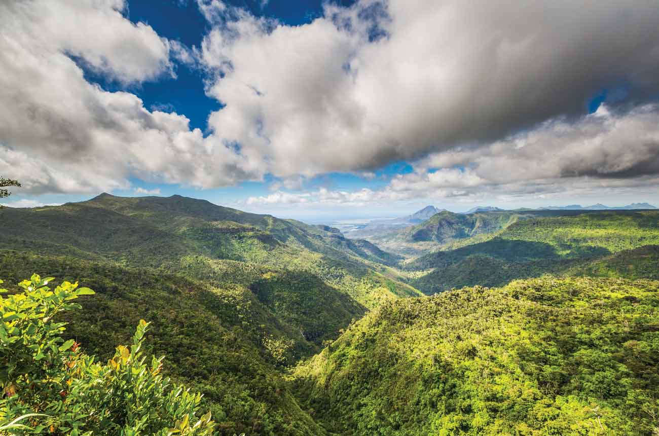 The view over Black River Gorges National Park from the Gorges viewpoint